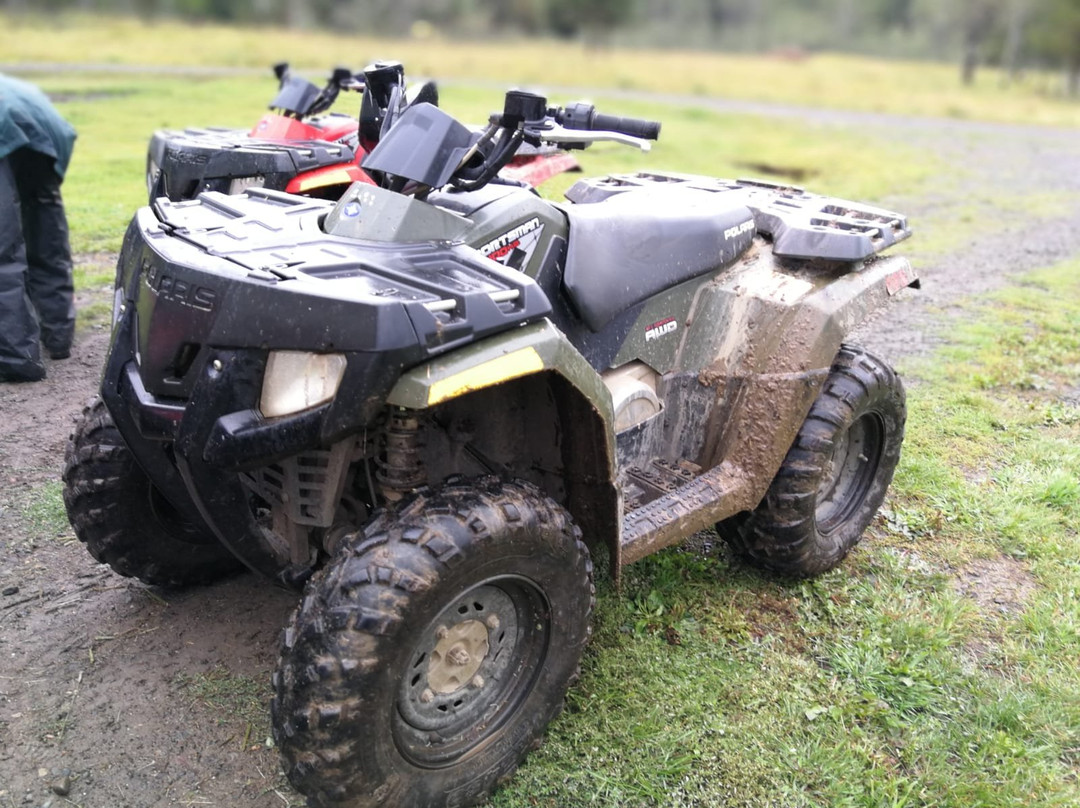 Cariboo Atv Tours景点图片