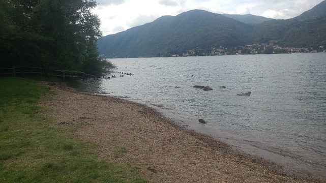 Parco Figino-Figino必去景点