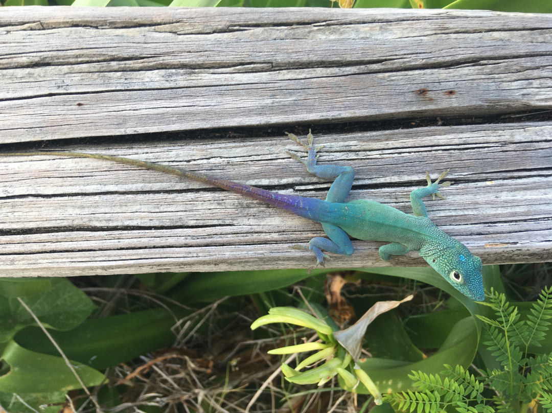 Wade's Garden Inn主图