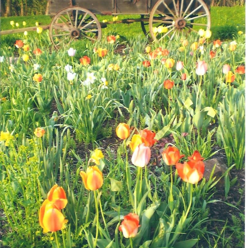 Frontier Motel主图