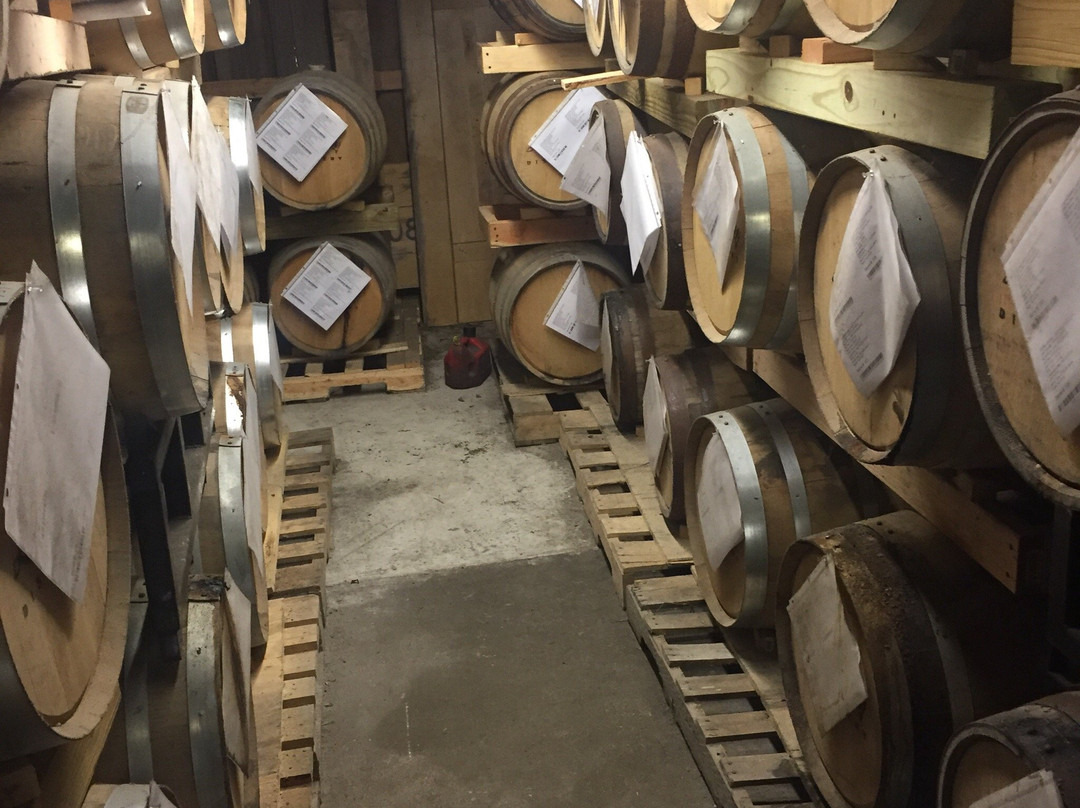 Lazy Guy Distillery-肯纳索必去景点