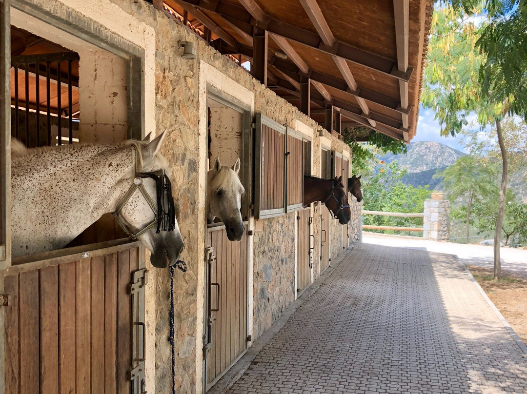 Odysseia Stables