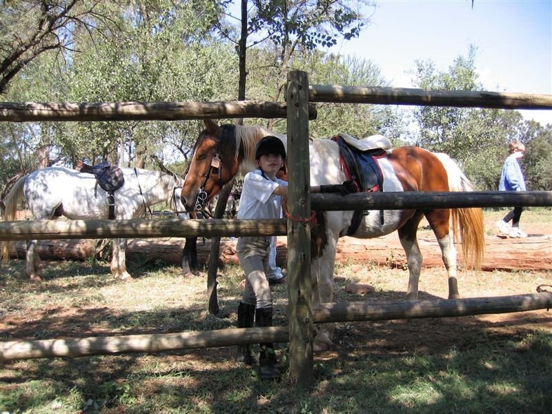 Hollybrooke Adventure Farm-官方