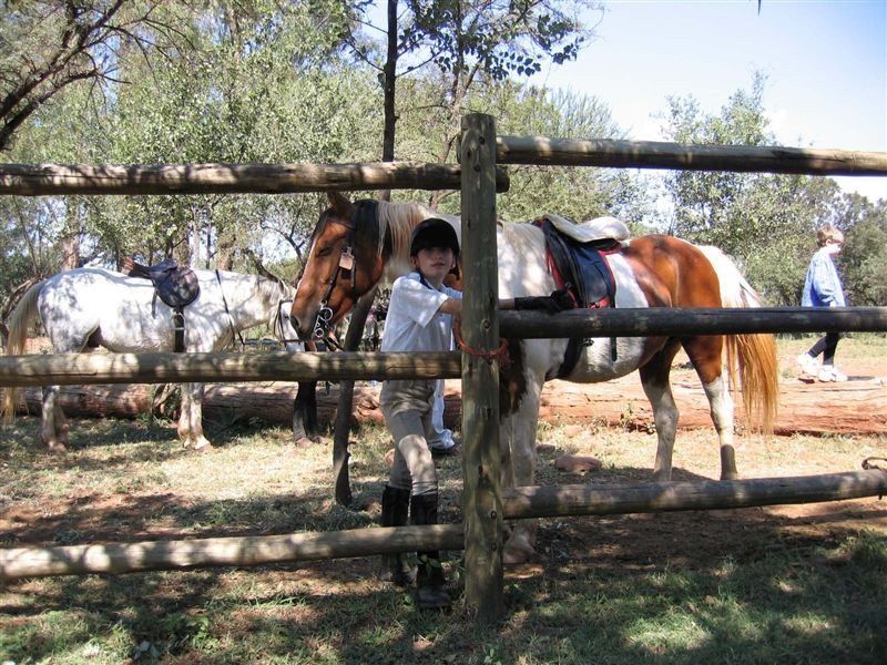 Hollybrooke Adventure Farm主图