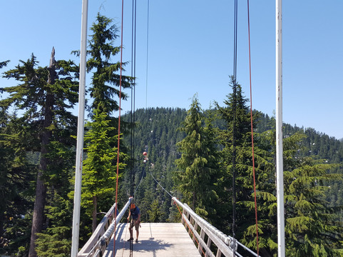 Grouse Mountain Ziplines-北温哥华必去景点