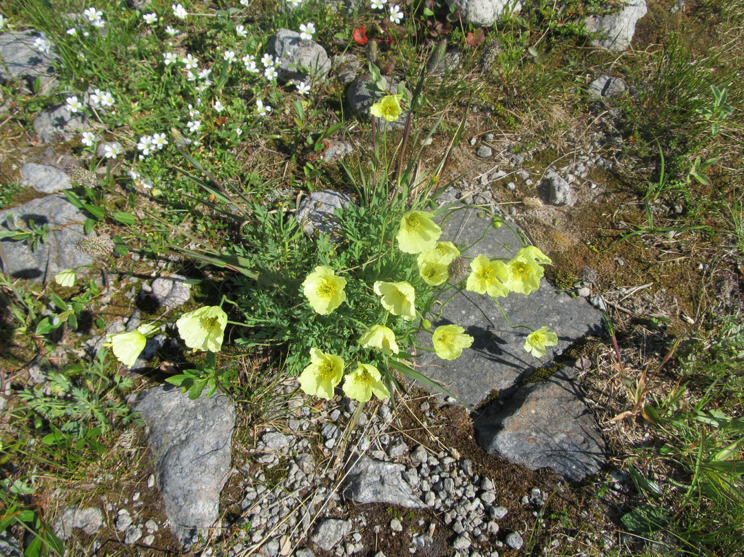 Hostel Akka Knibekaize主图