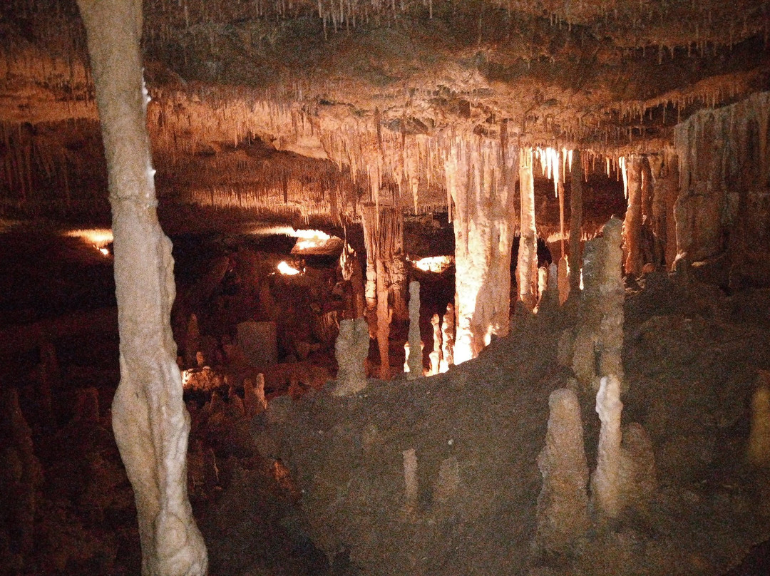 Grottes de Cougnac景点图片