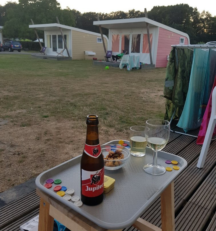 Molecaten Park Waterbos