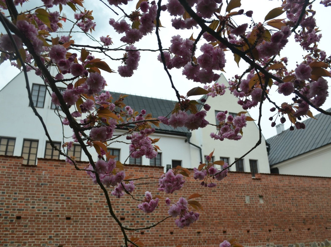 City of Konin - Regional Museum景点图片