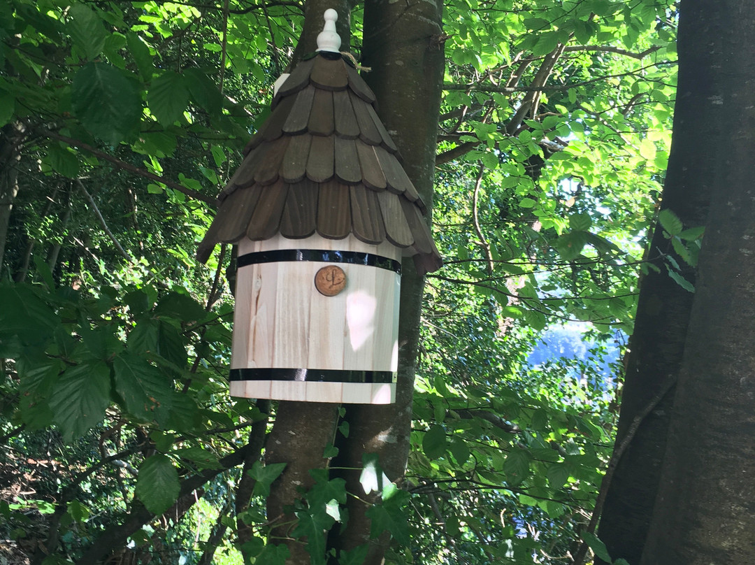 Woodlands Guest House主图