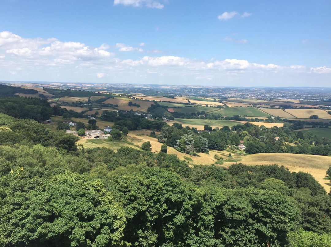 Haldon Belvedere (Lawrence Castle)景点图片