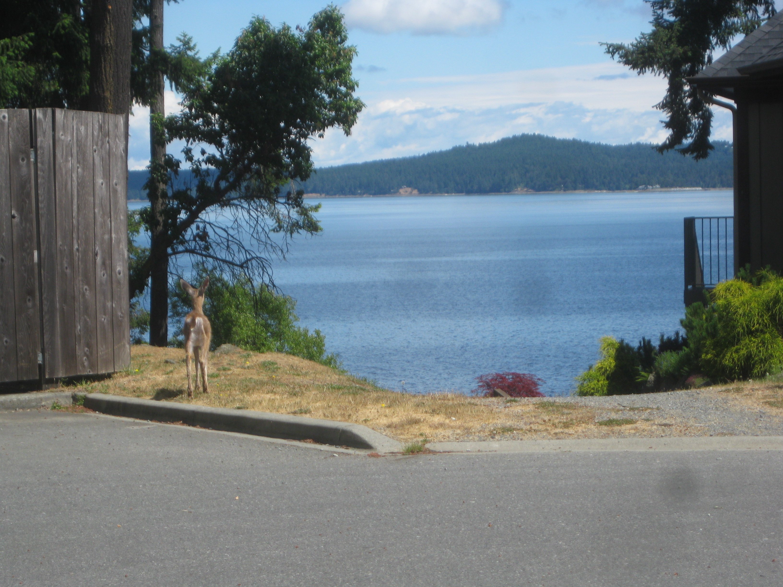 Eagle Rock Bed and Breakfast Chemainus-浴室