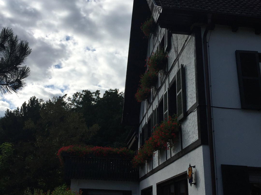 Waldhaus Wilhelm主图