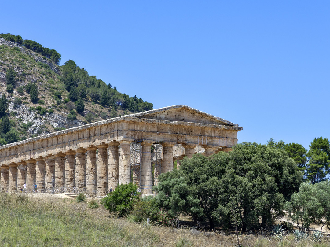 Tempio di Segesta景点图片