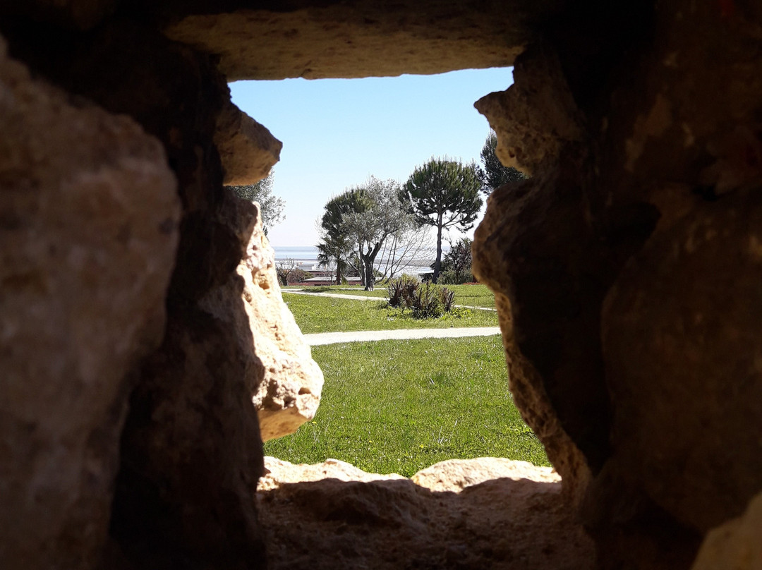 Castelo de Pirescoxe景点图片
