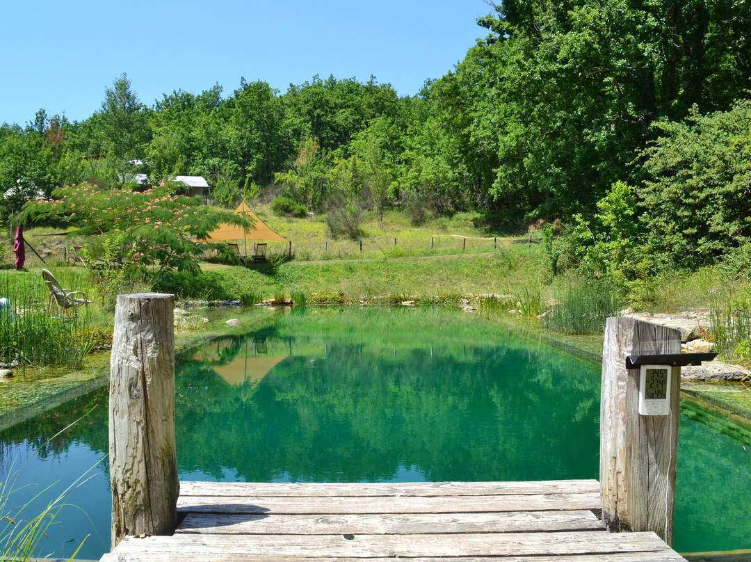 Le Camp
