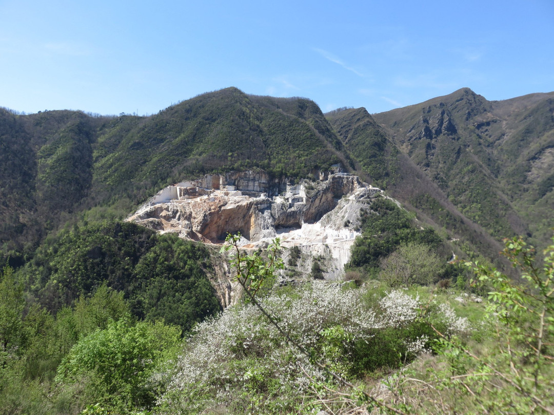 Azzano旅游攻略图片