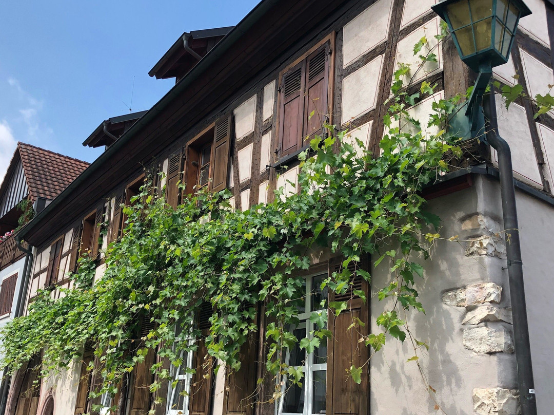 Altstadt von Endingen am Kaiserstuhl-Endingen am Kaiserstuhl必去景点