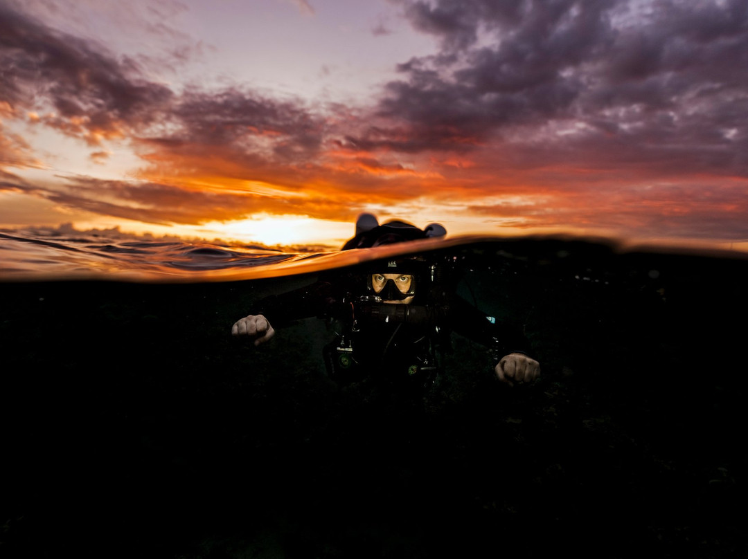 Cabilao Sanctuary Beach & Dive Resort主图