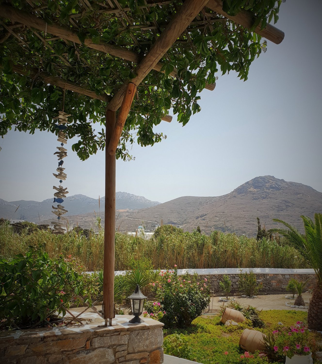 Villa Le Grand Bleu-酒店景观