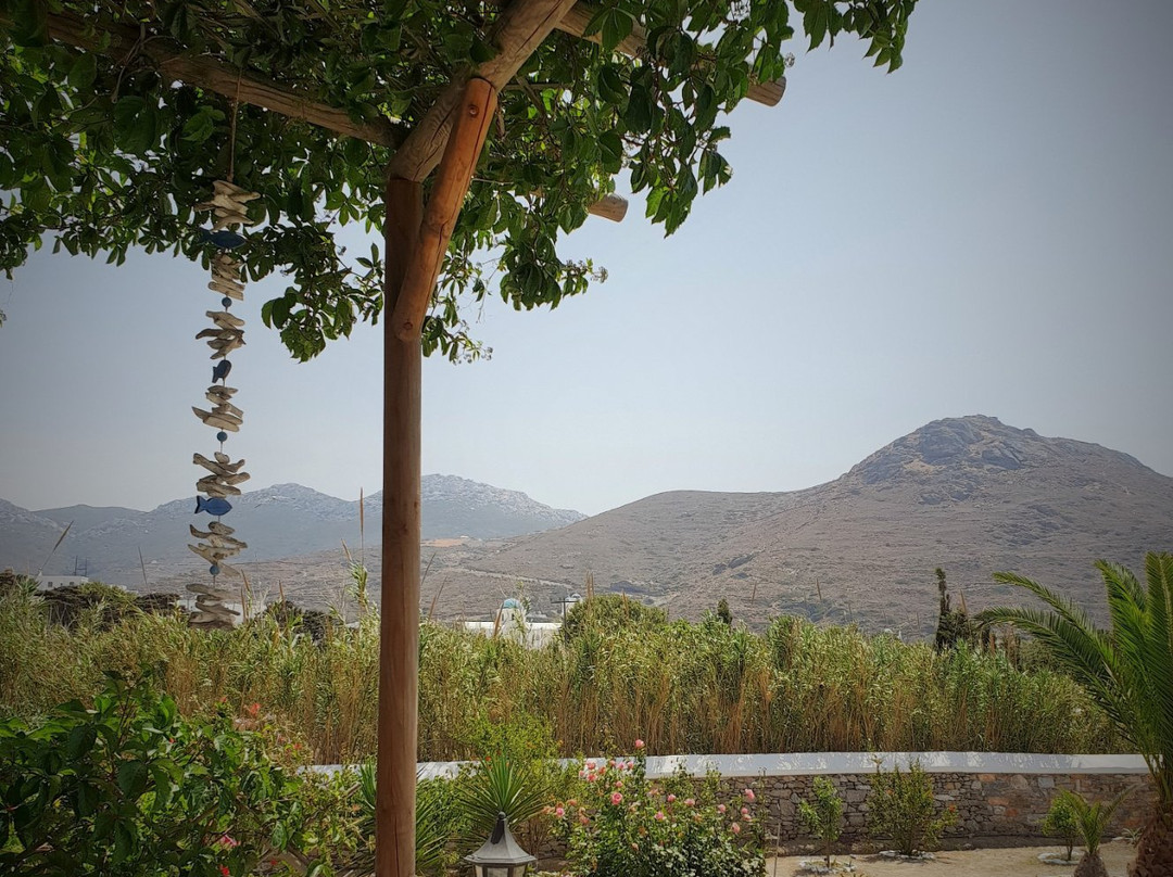 Villa Le Grand Bleu主图