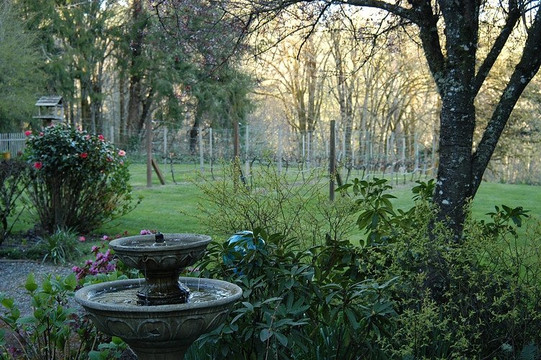 Olalla Vineyard and Winery-Olalla必去景点