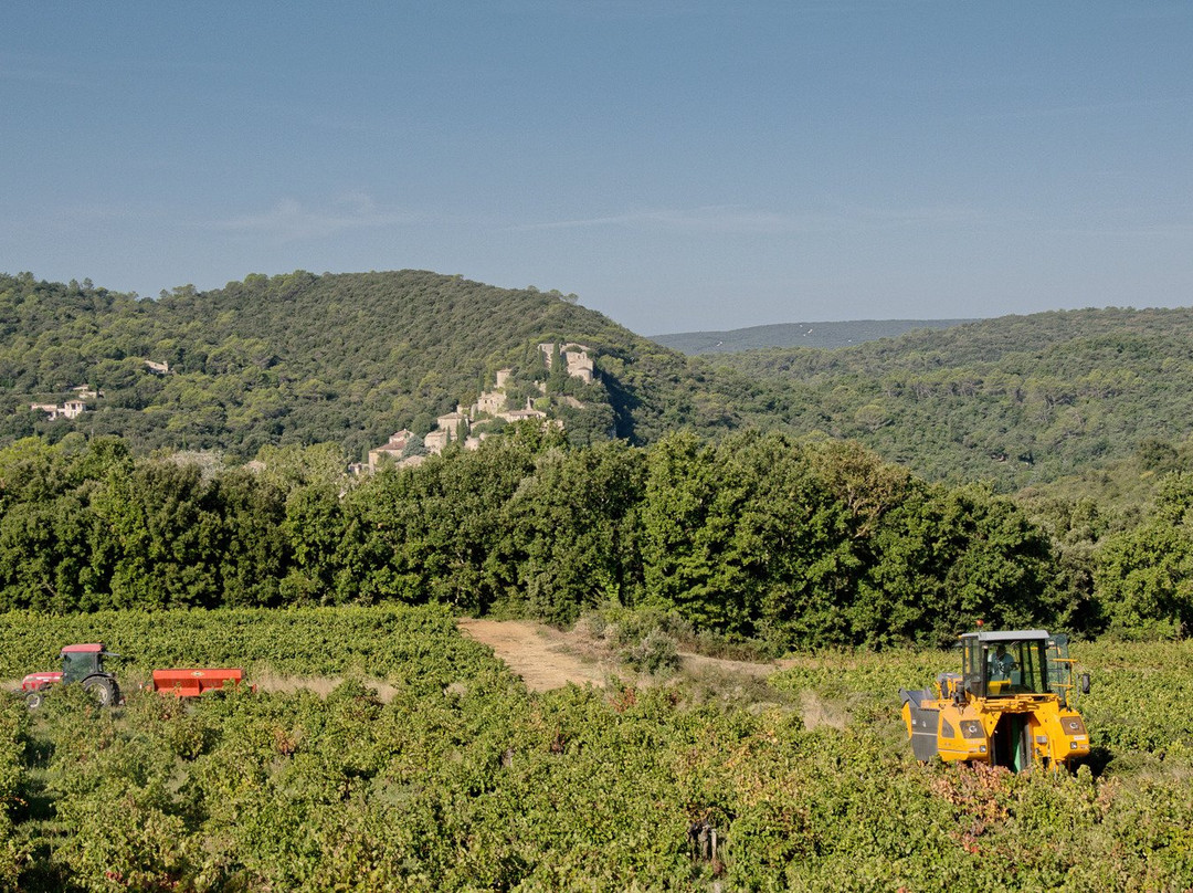 Domaine de Bel Air景点图片