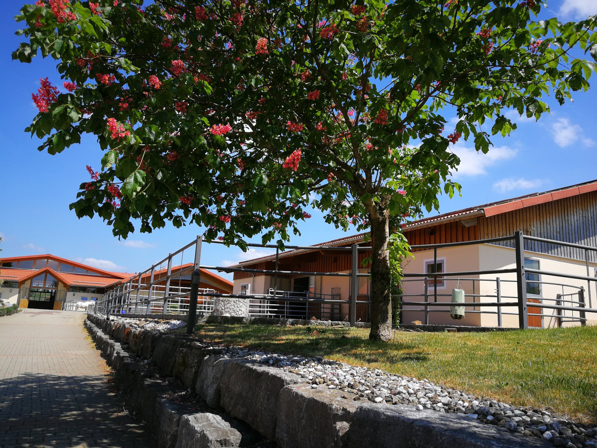 Allgäu Meadow Ranch-官方
