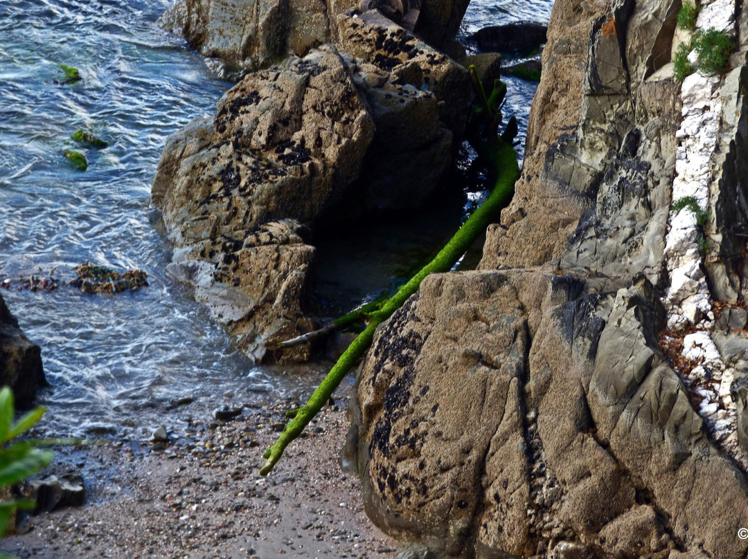 Playa de Morazón景点图片
