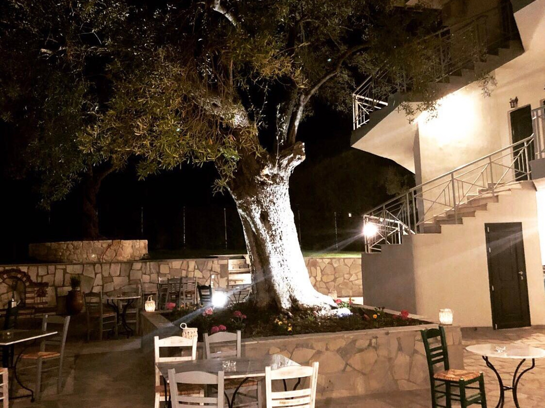 Mirabilia Boutique Hotel主图