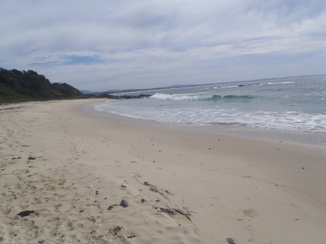 Pebbly Beach景点图片