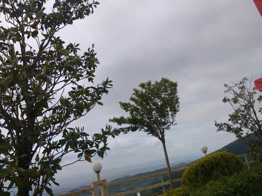 Dajti Park Hotel主图