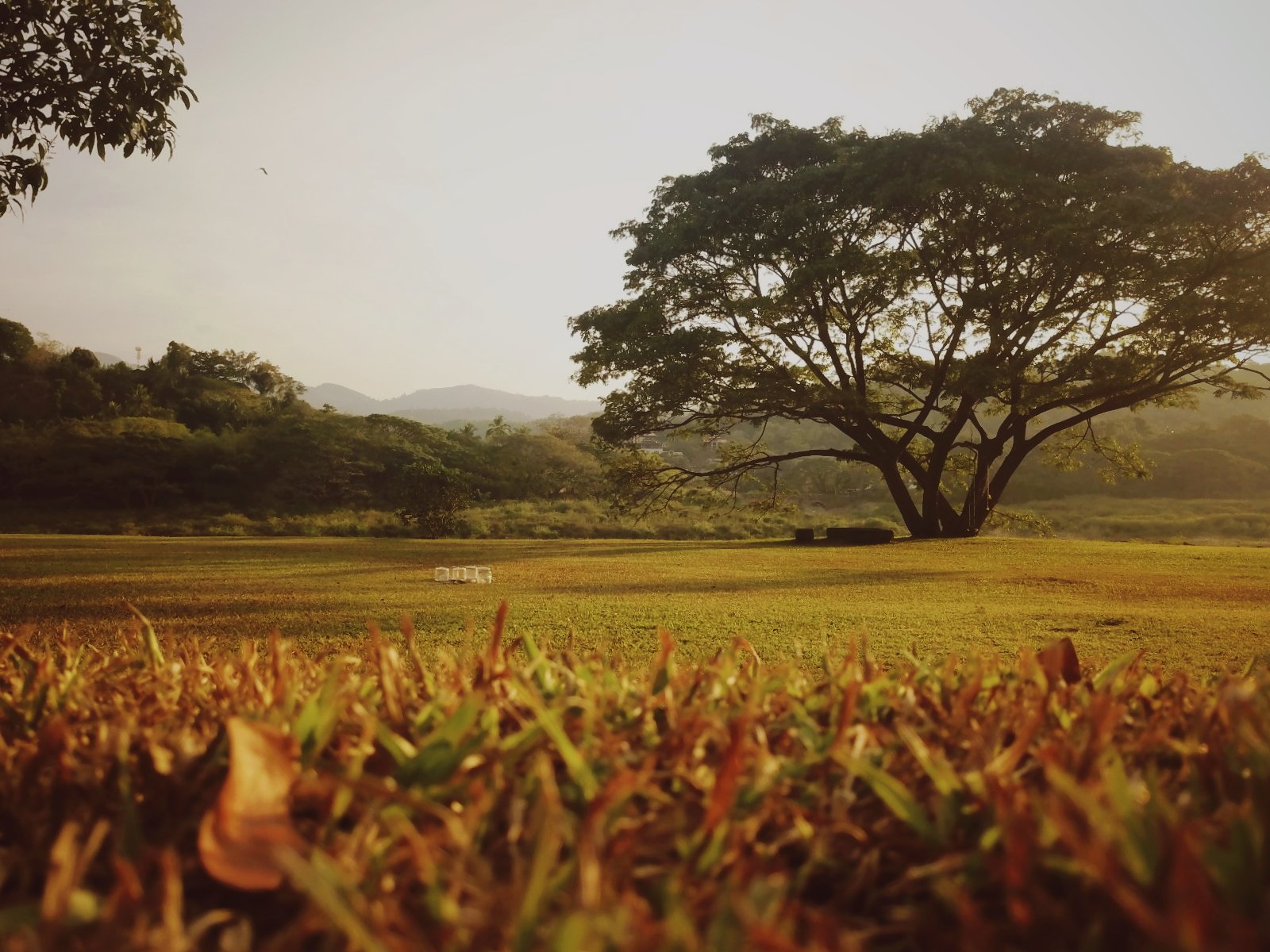 Mountbatten's Officers Mess Kandy-官方