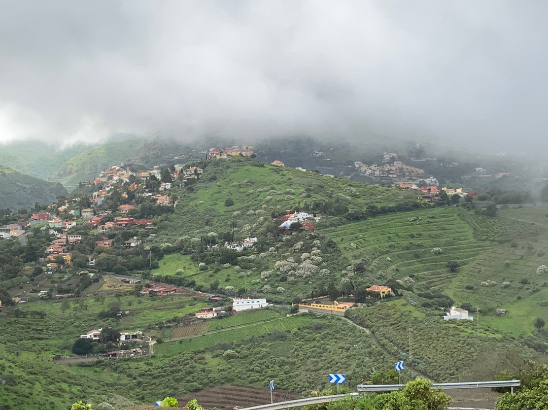 Camino Homestay