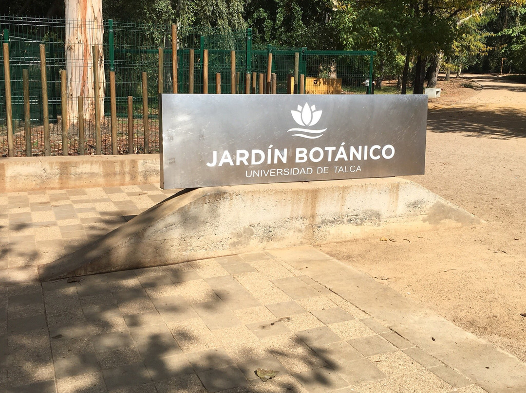 Jardín botanico de la Universidad de Talca景点图片