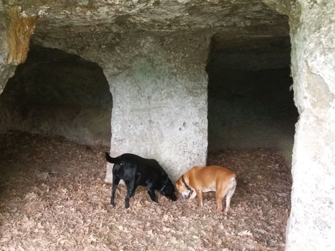 Grotte dei Quadratini e dei Finestroni景点图片