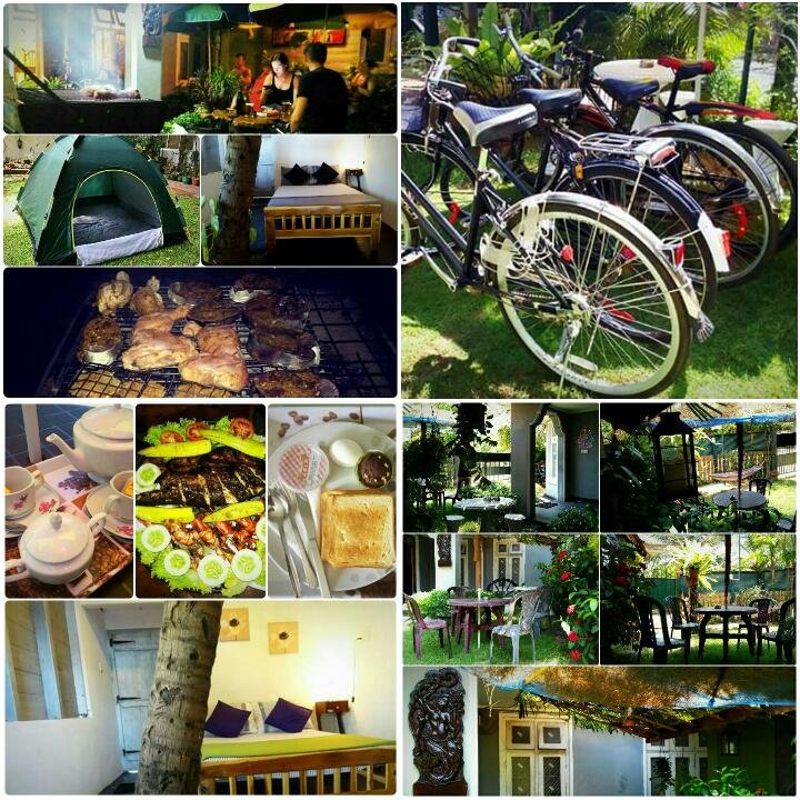 Olive Green Resort-官方