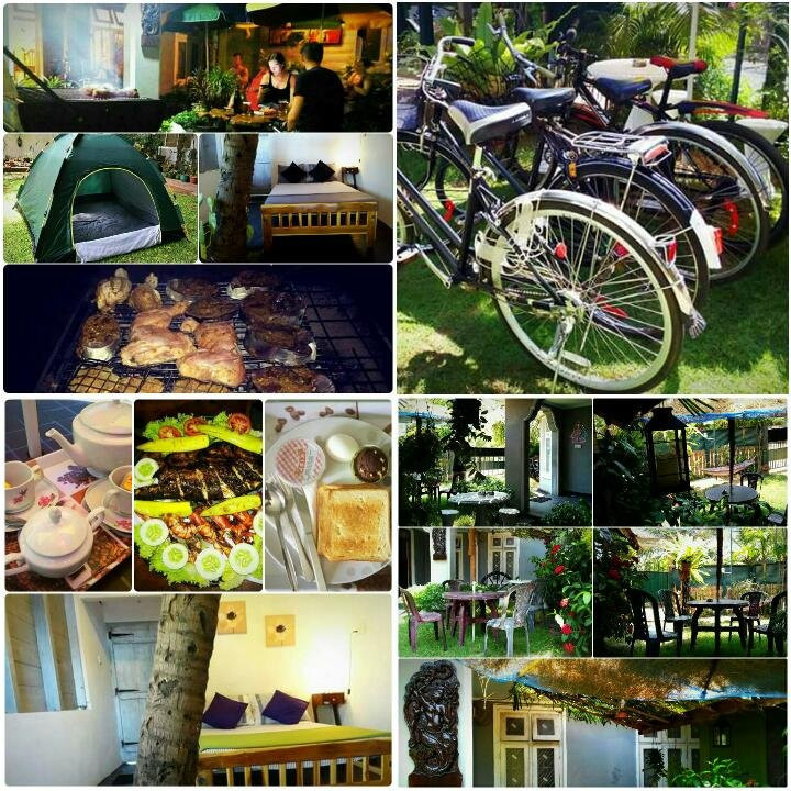 Olive Green Resort主图