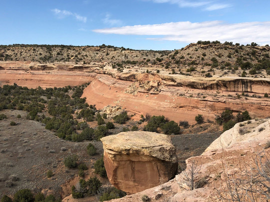 Rattlesnake Canyon-弗鲁塔必去景点