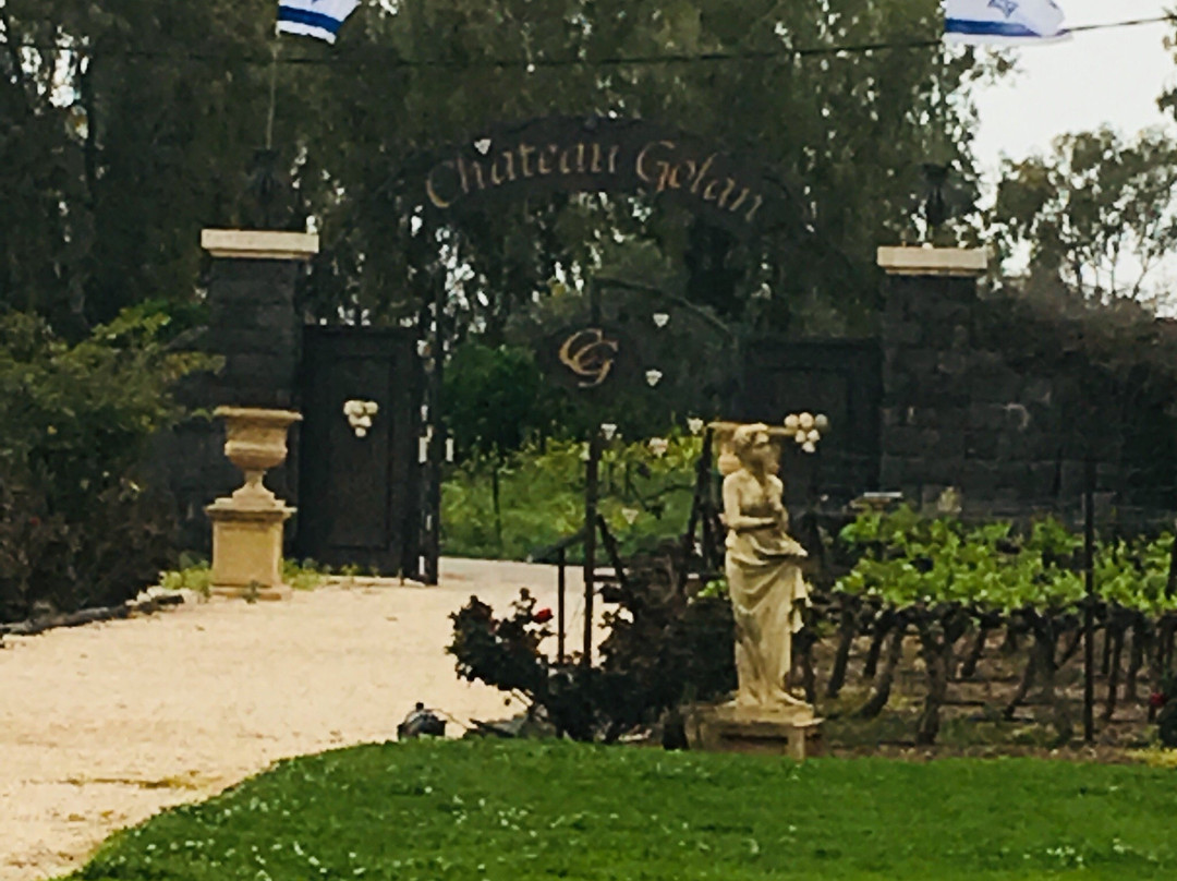Chateau Golan Winery景点图片
