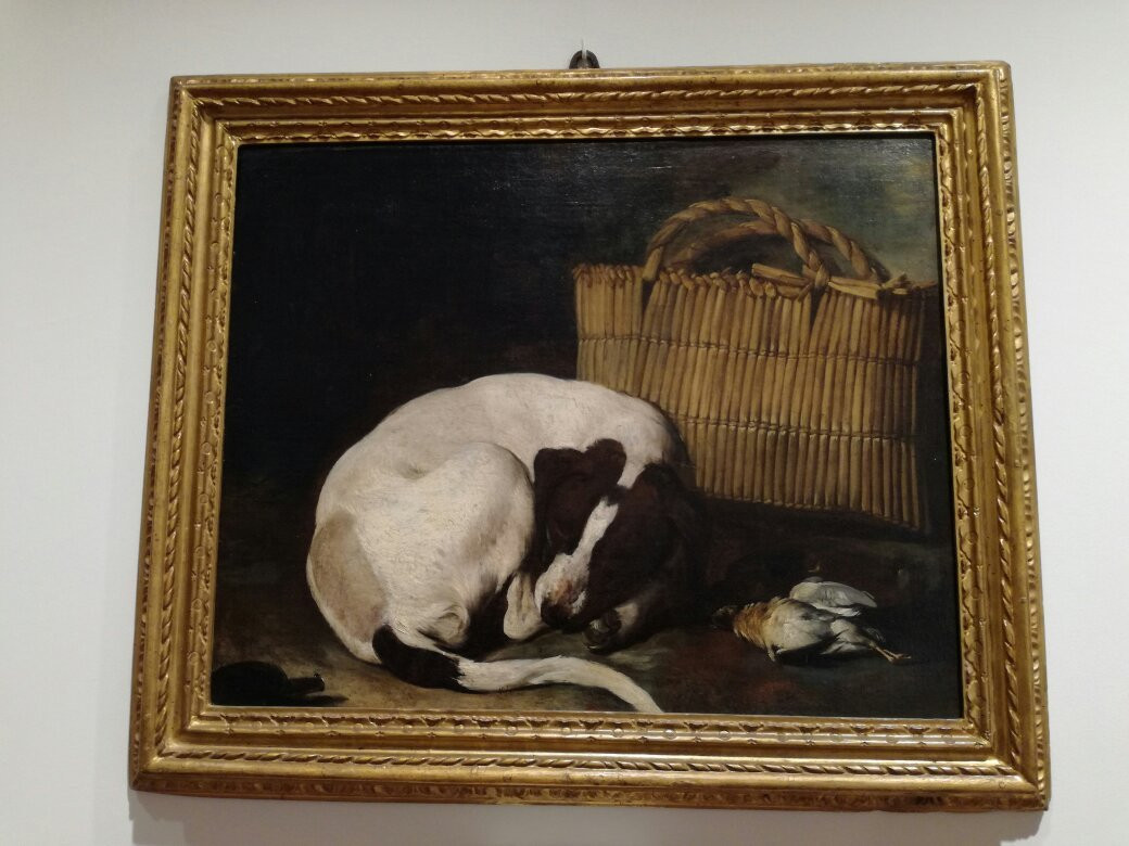 Pinacoteca Comunale Di Faenza景点图片