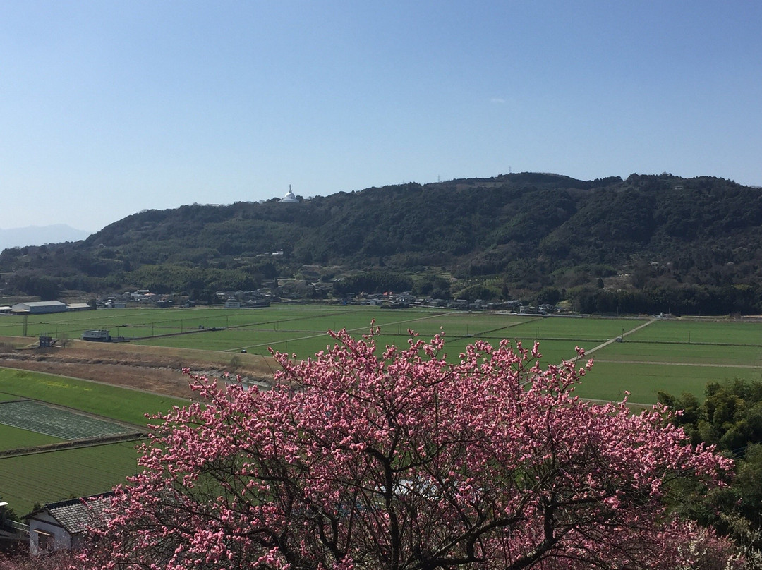 Ushinoo Shrine-小城市必去景点
