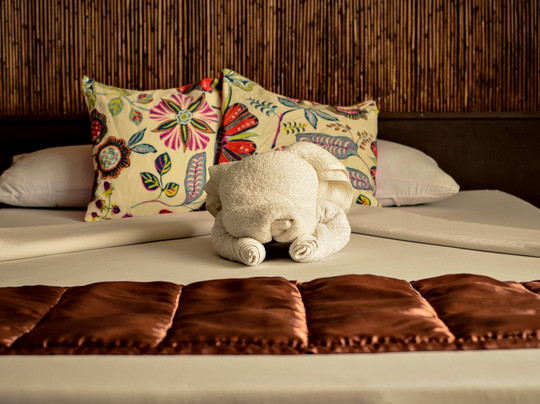 RB Bed & Breakfast主图