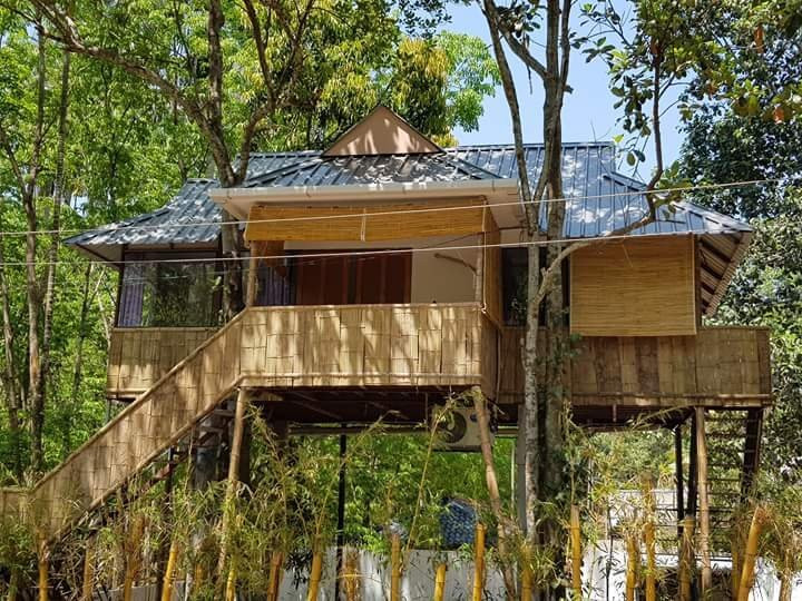 Ponmudi Valley Resort主图