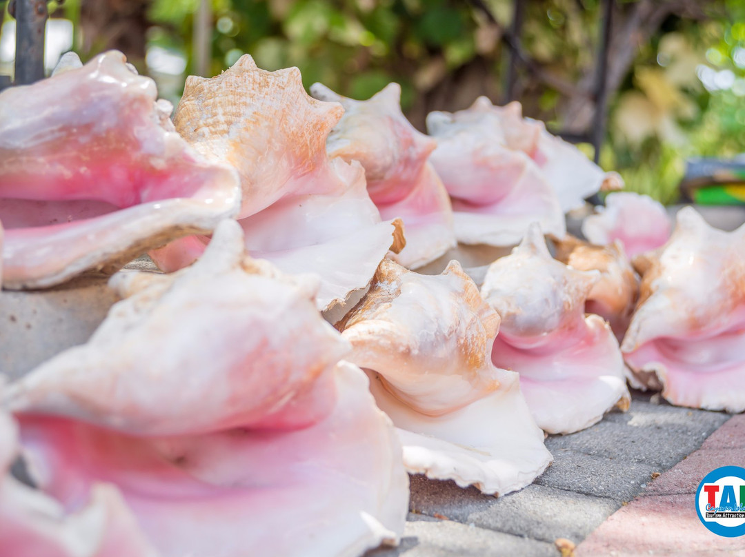 Cayman Craft Market-乔治城必去景点