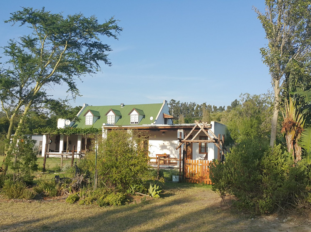 Klein Waterkloof B&B主图