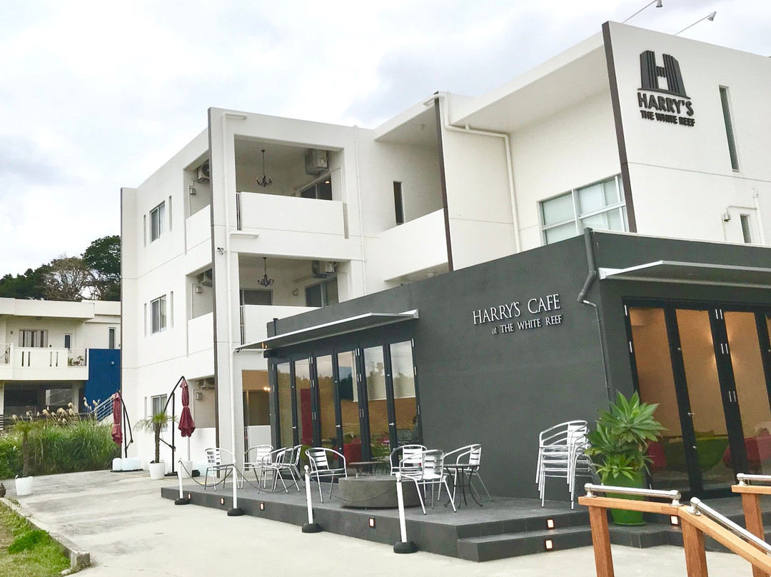 The White Reef主图