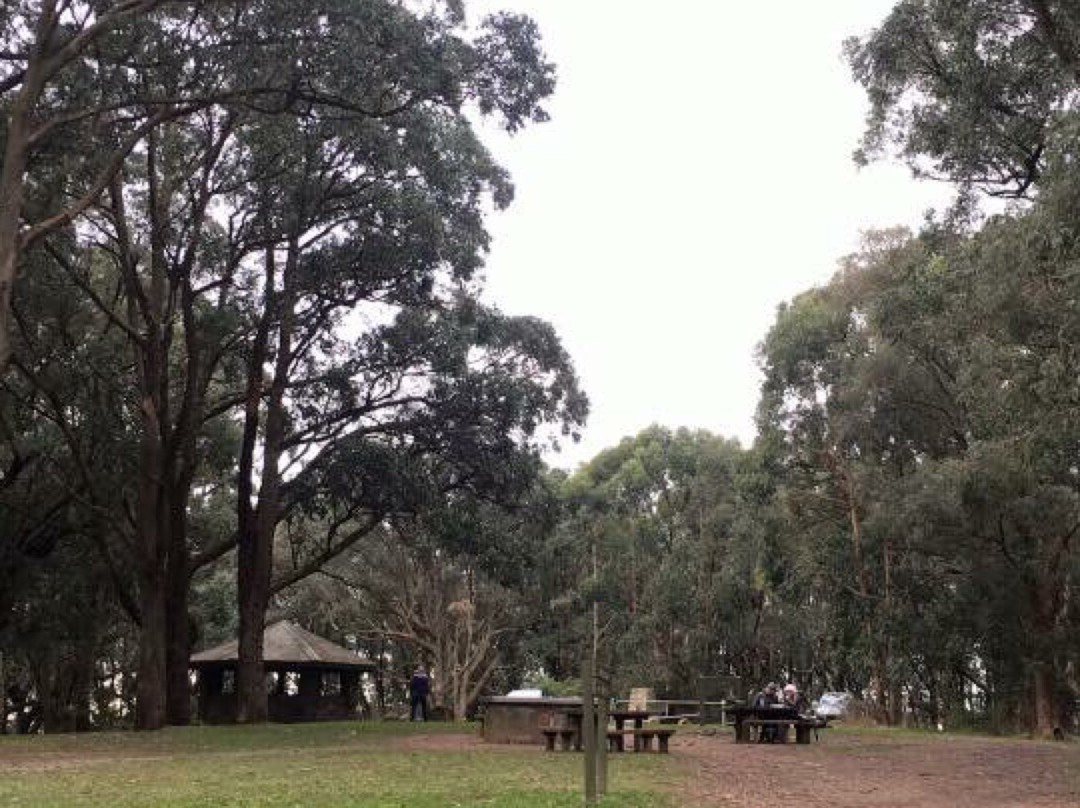 One Tree Hill Picnic Ground景点图片