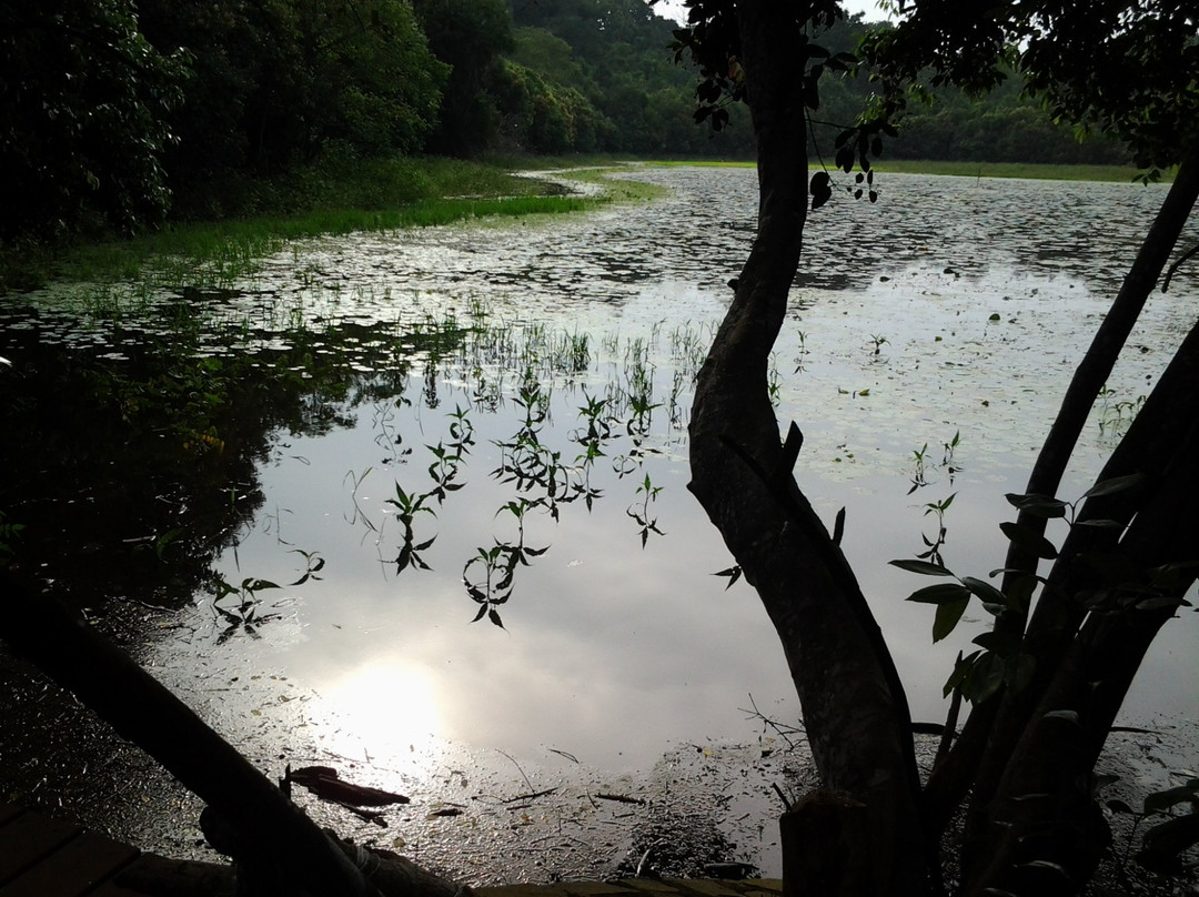 马约特岛旅游景点-Karihani Lake