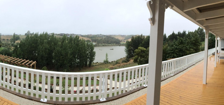 Willow's Green主图